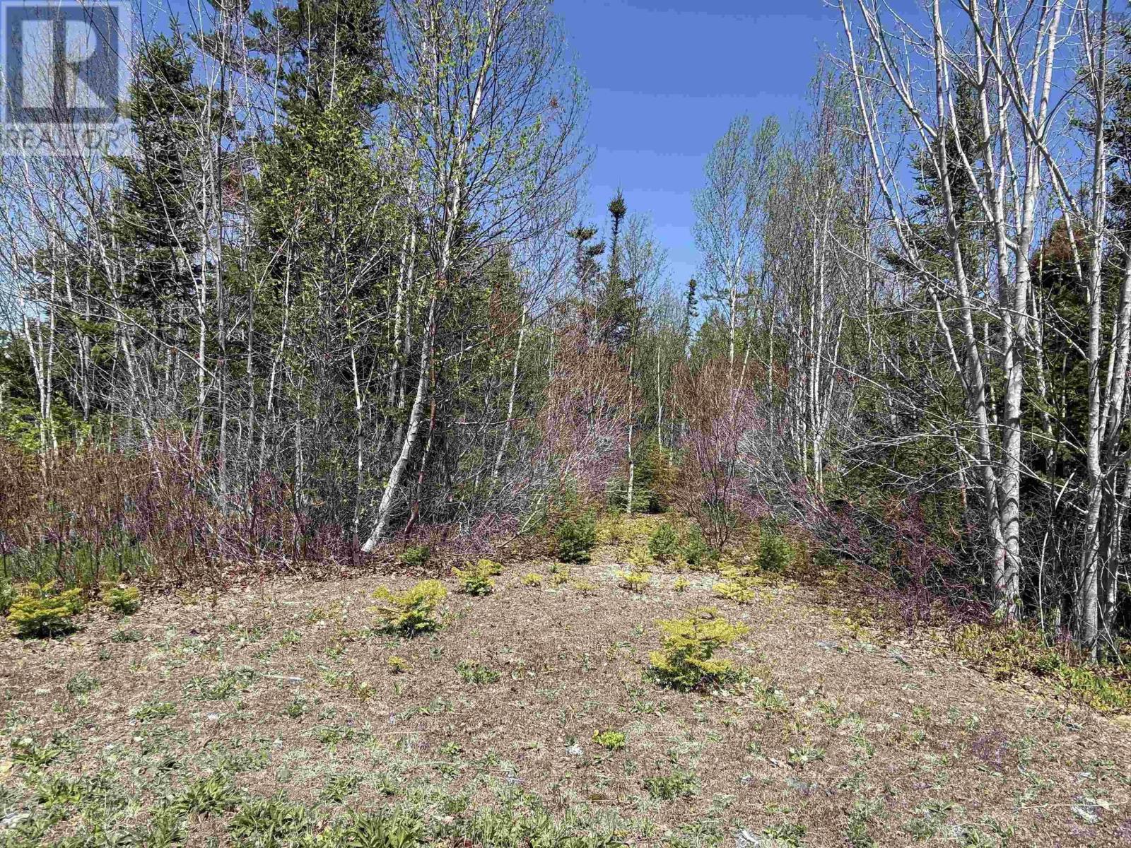 Lot 22 Marble Mountain Road Road