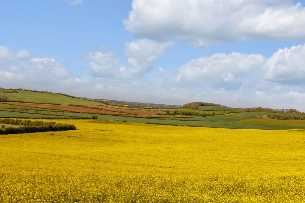 Additional image 15 of Land for saleGlebe Farm | Whole, Oxcombe Road, Belchford, Horncastle LN9