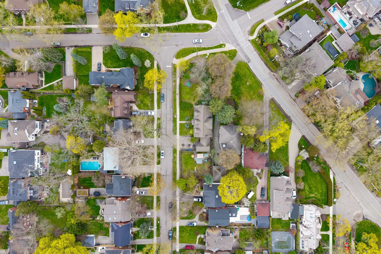 103 Willingdon Boulevard photo 4