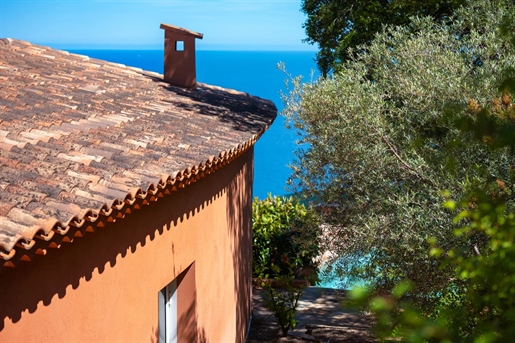 Théoule-sur-Mer (Alpes-Maritimes) photo 3