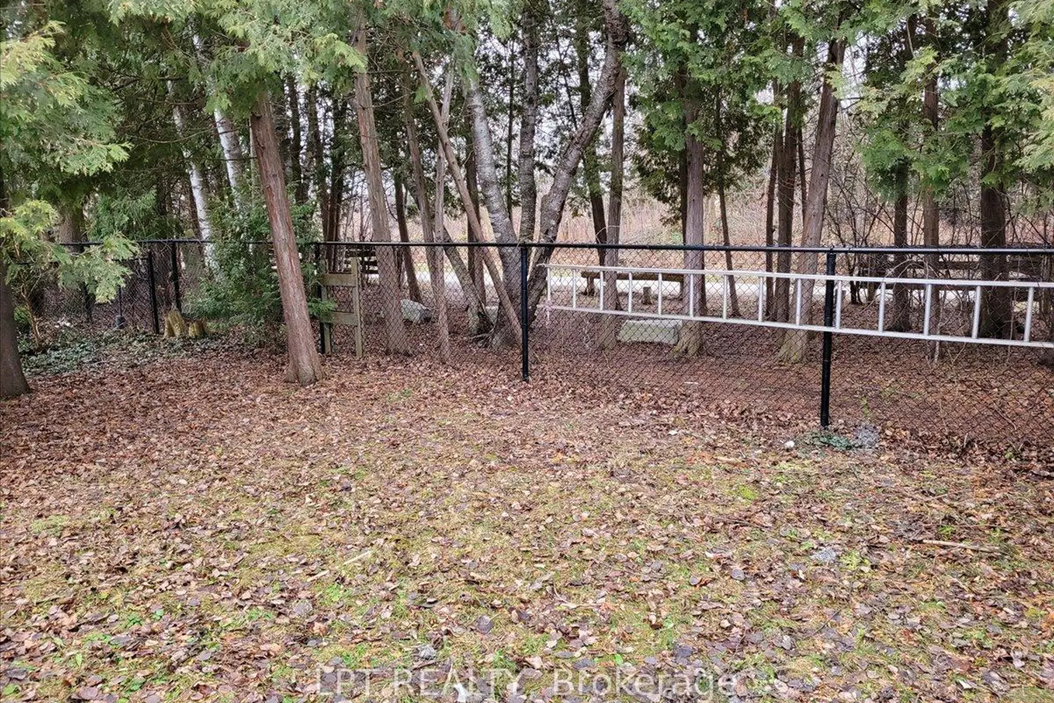 Additional image 20 of 62 Williams Street