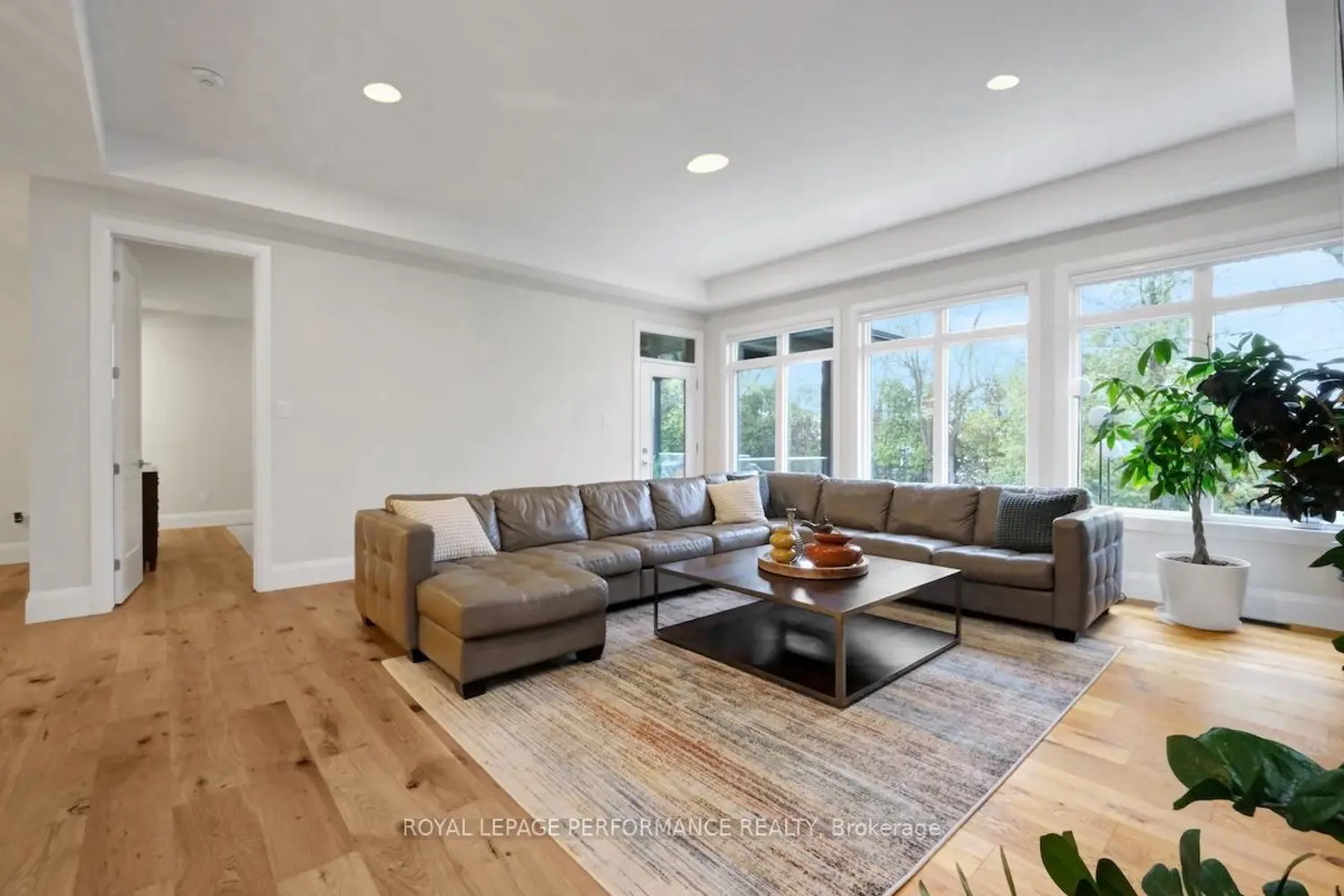 55A Norway Spruce Street photo 4