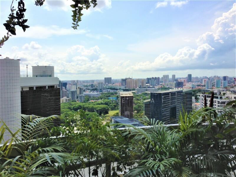 28 Scotts Road photo 5