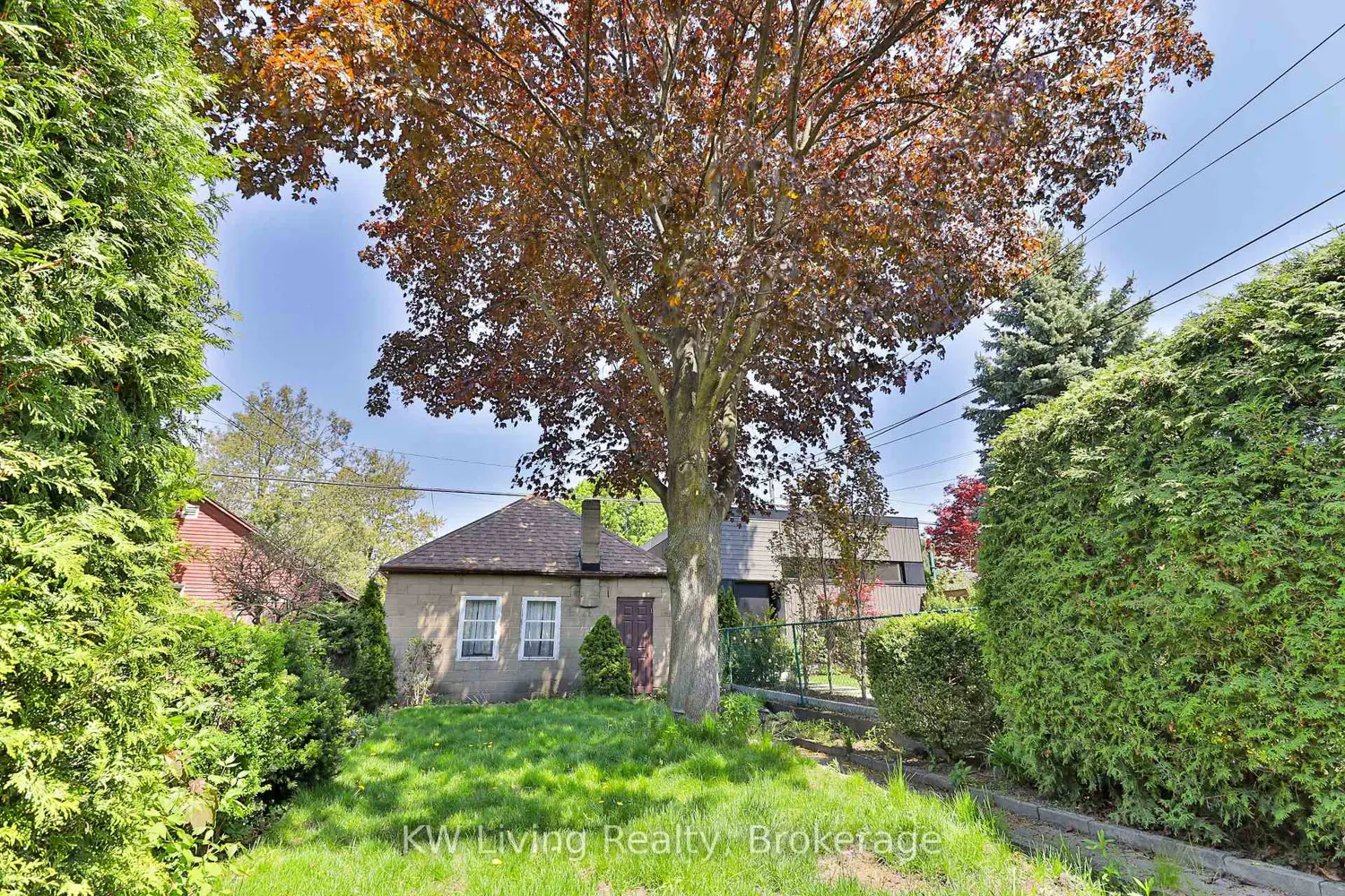 599 Durie Street photo 5