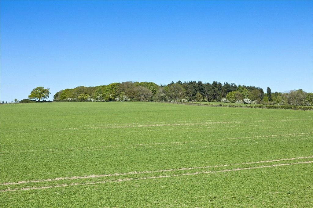 Additional image 14 of Land for salePark Farm, Bylaugh, Dereham, Norfolk NR20