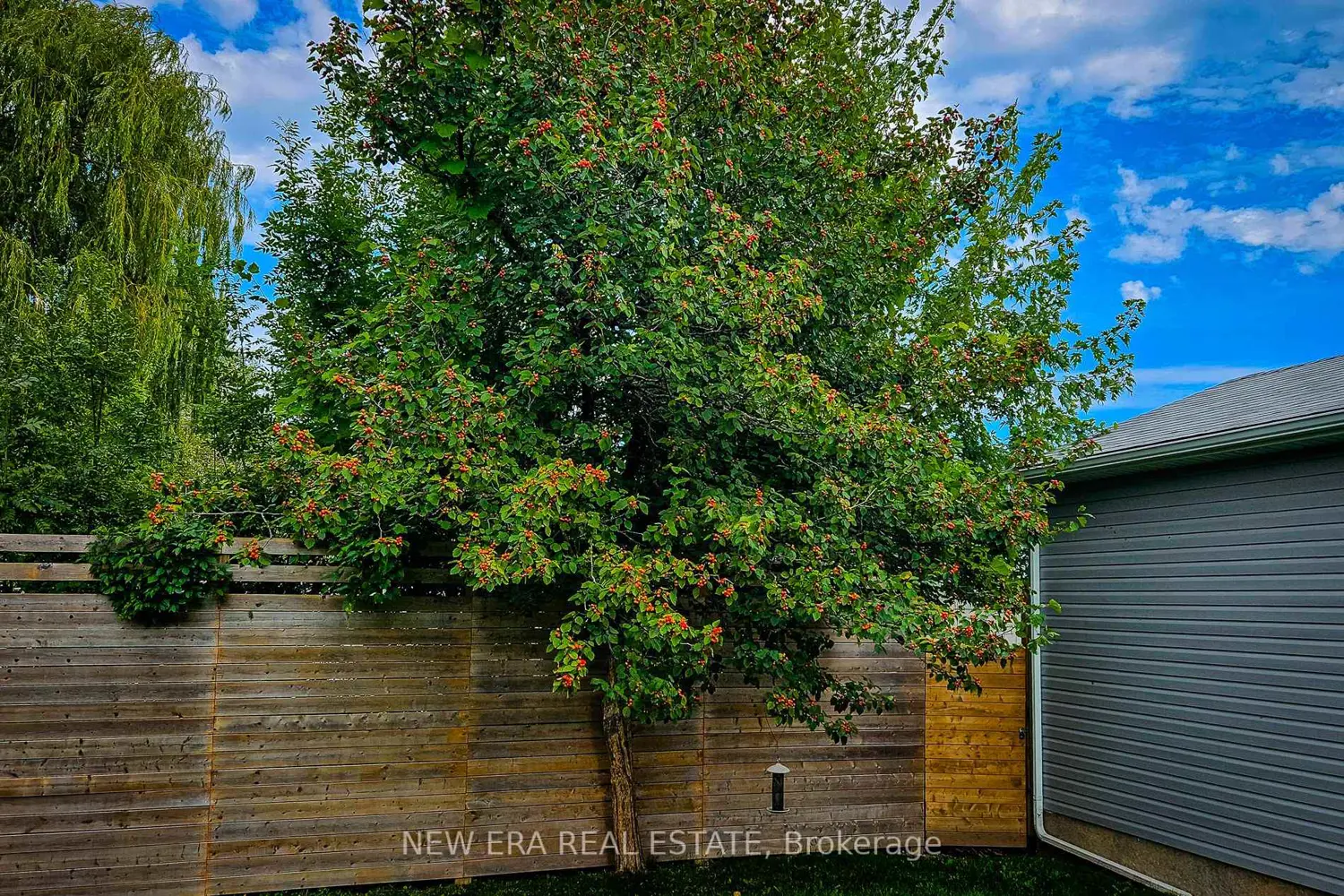 Additional image 17 of 4274 Sixth Avenue