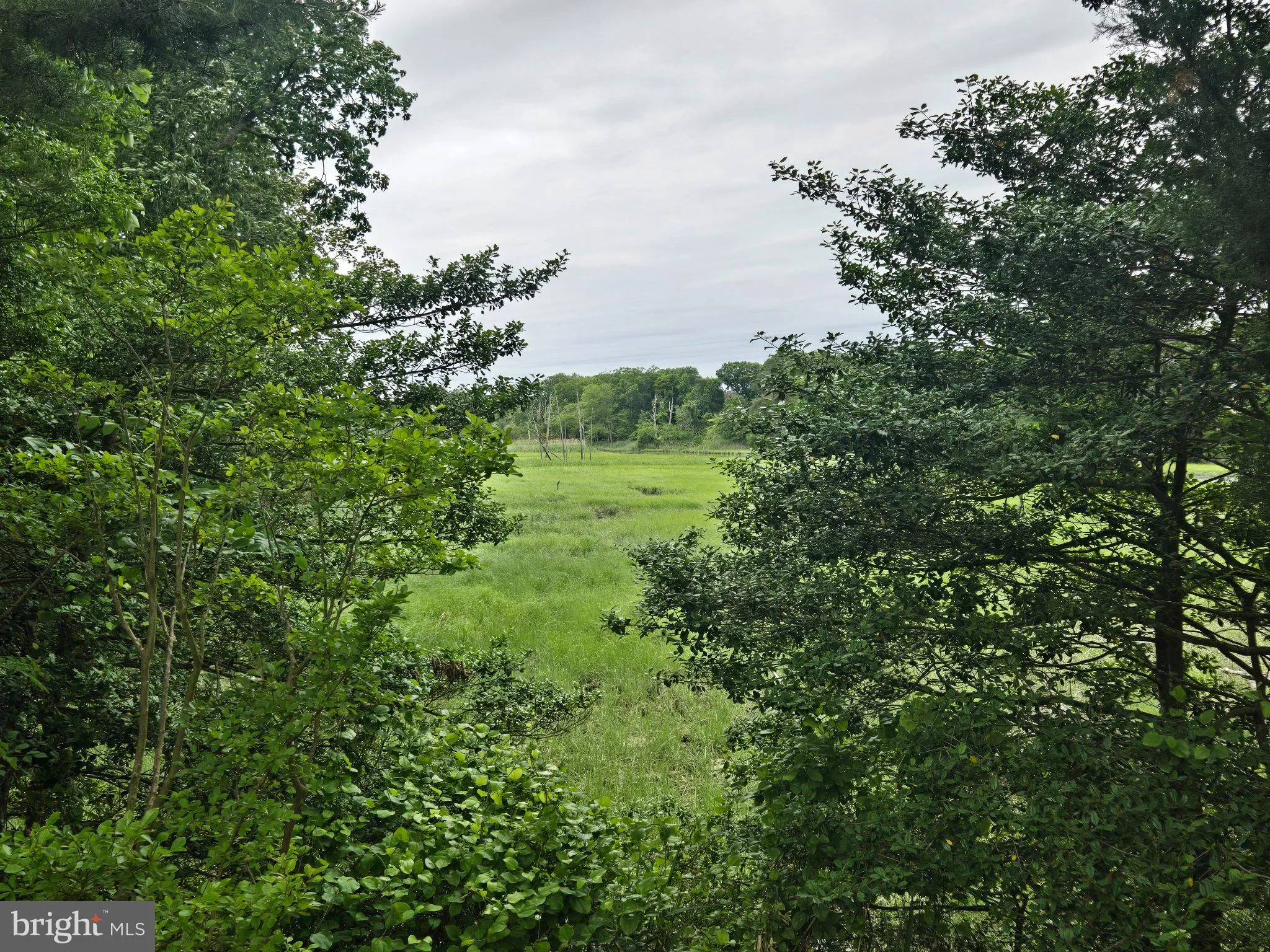 Additional image 121 of 347 Golf Links Ln, Magnolia, DE 19962