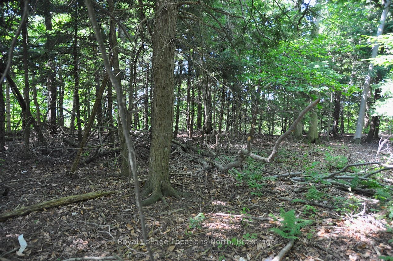 Additional image 6 of LOT 21 Bayshore Road, Meaford, ON, N0H 1B0