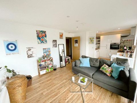 Michigan Point, Salford M50