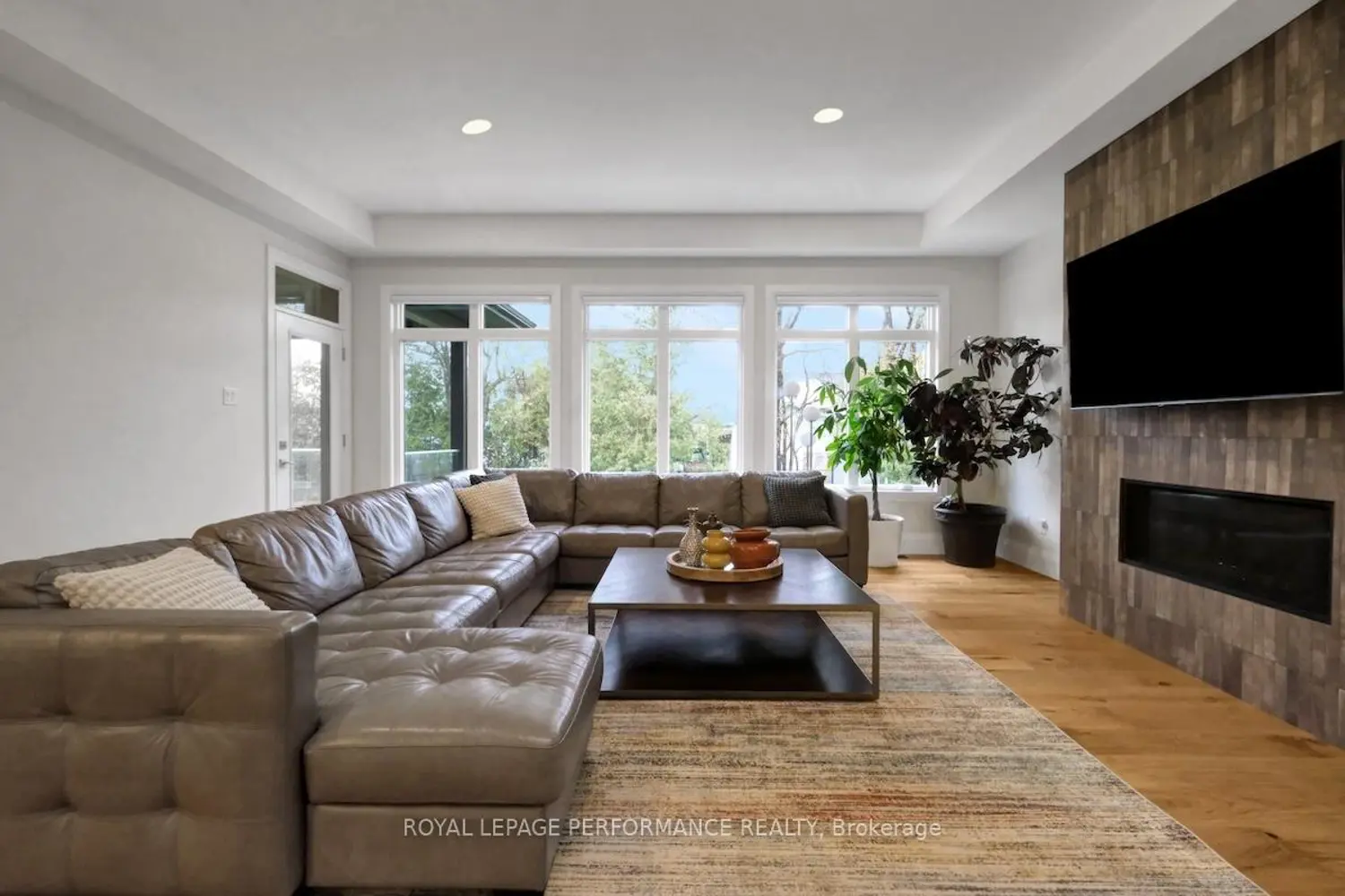 55A Norway Spruce Street photo 5