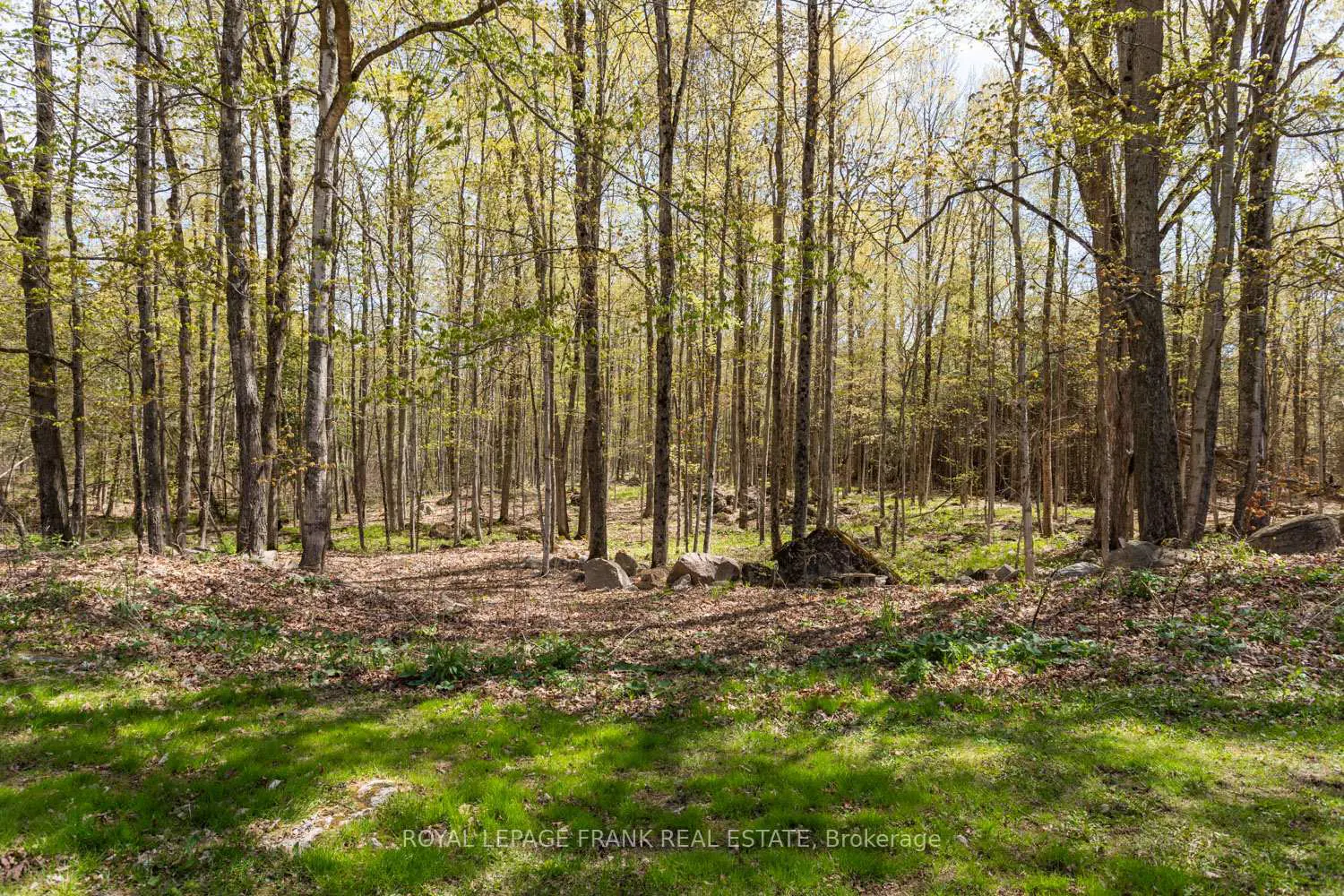 Additional image 13 of 340 Quin Mo Lac Road