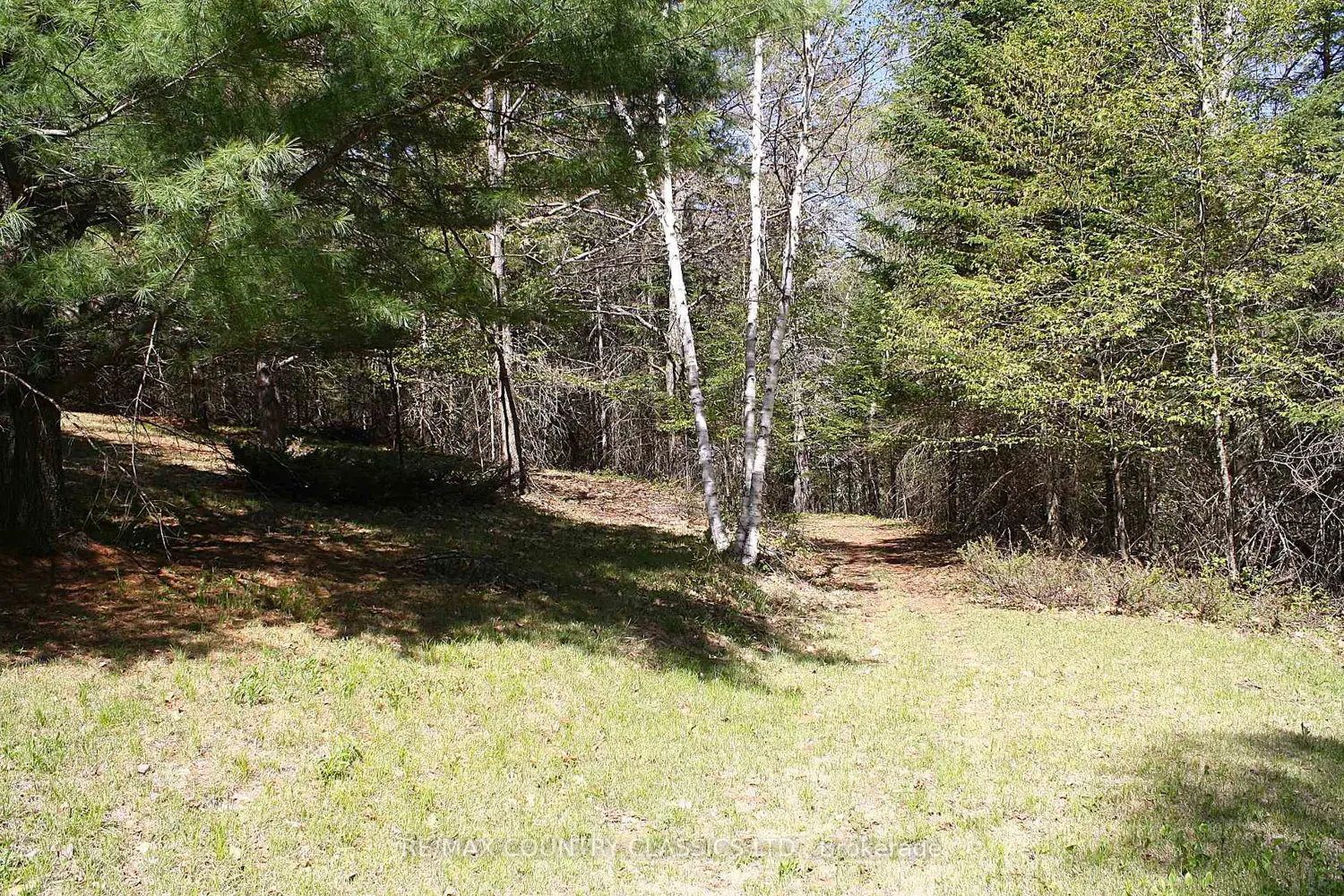 Additional image 6 of 1060 Little Ireland Road