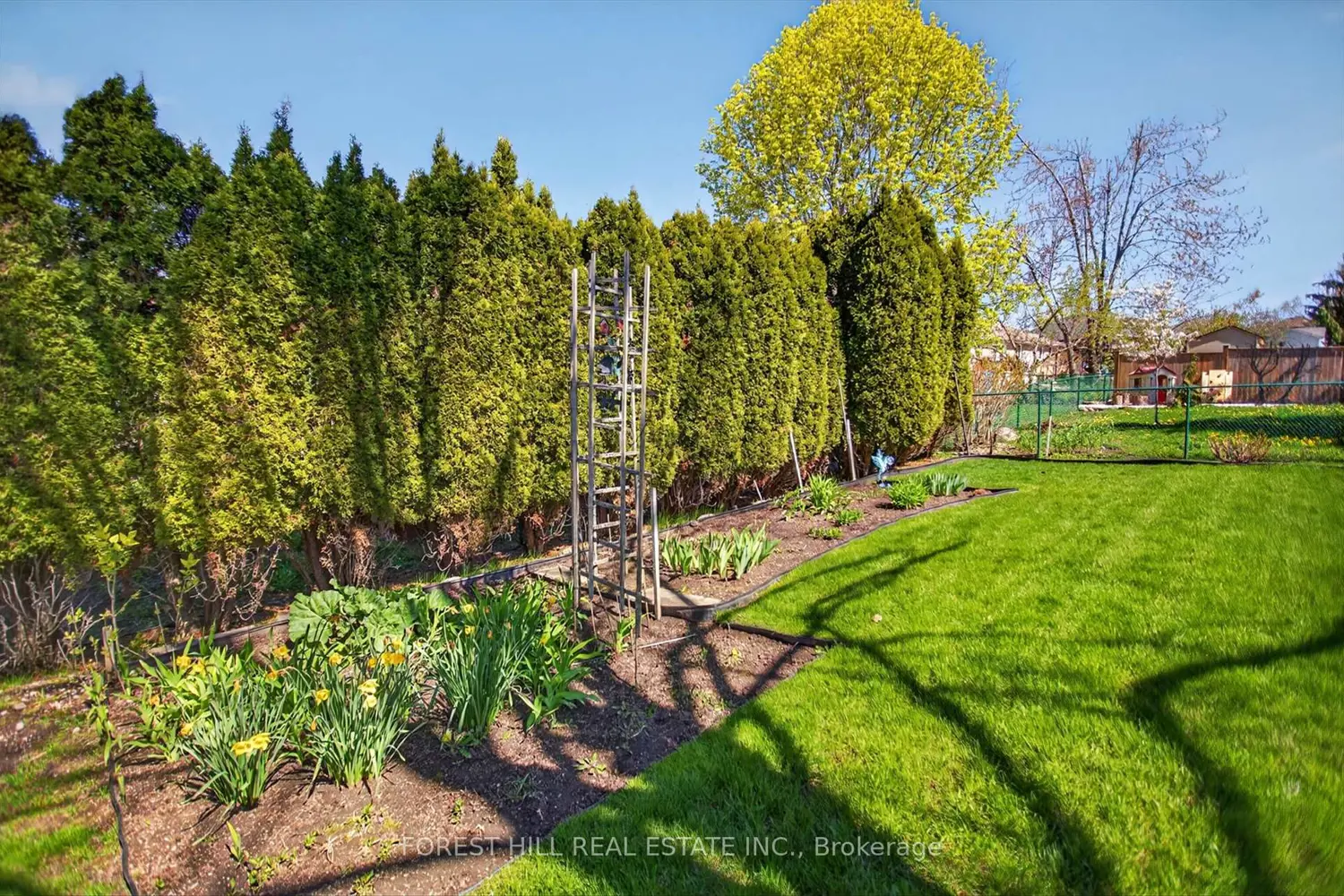 Additional image 19 of 2212 Lorraine Drive