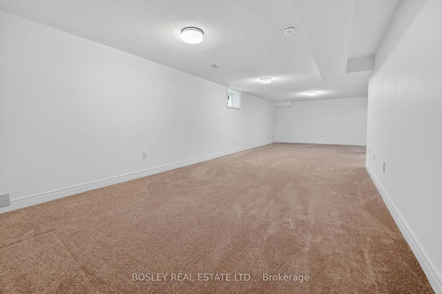 56 Paradise Grove photo 5