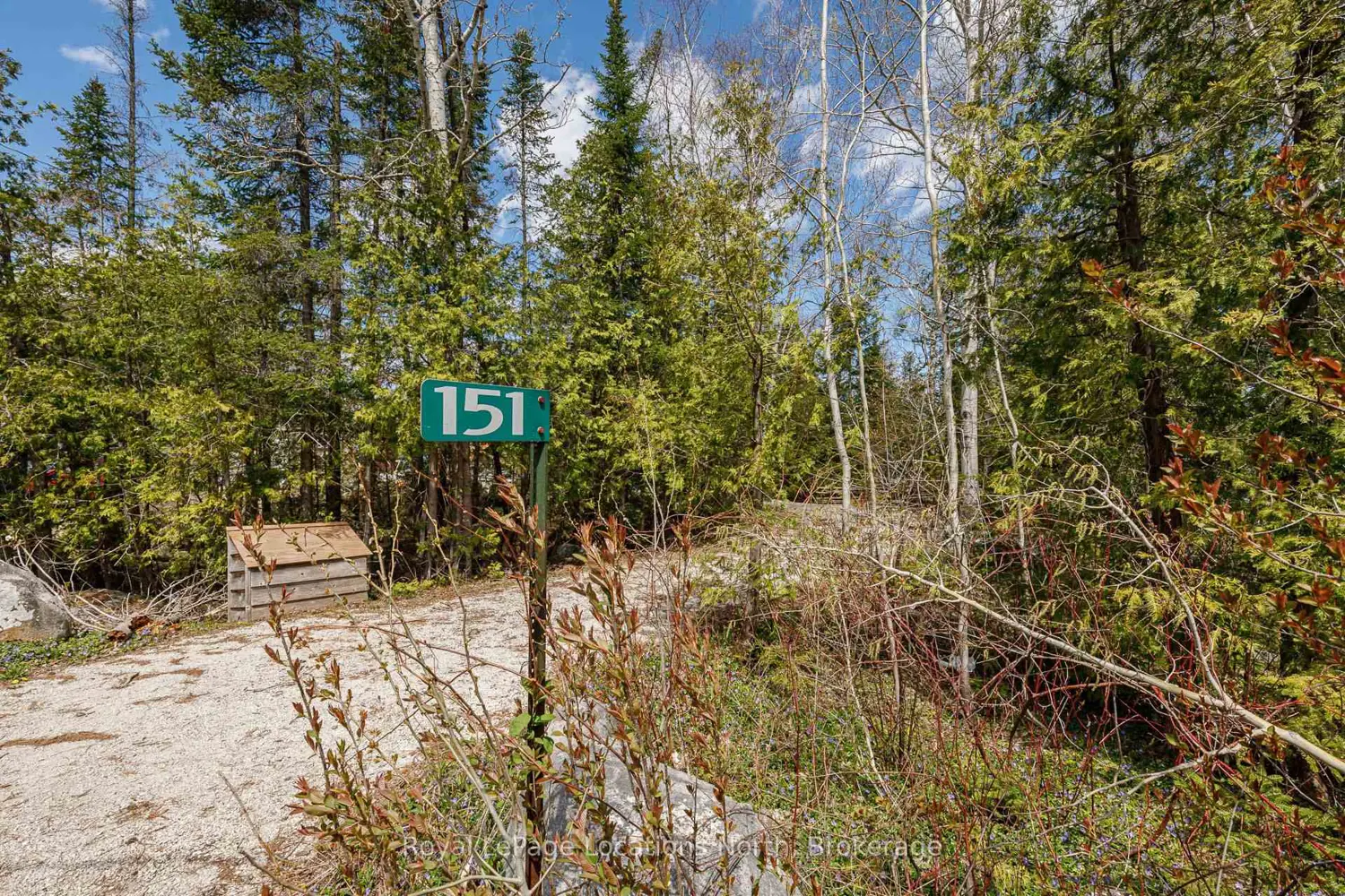 Additional image 20 of 151 Cameron Street