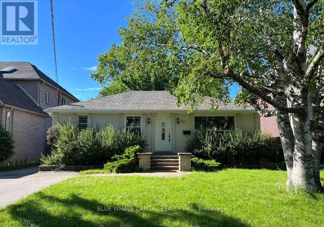 278 PRINCESS AVENUE