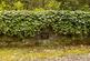 Additional image 8 of Glenlyon House, Dalmally, Argyll and Bute, PA33