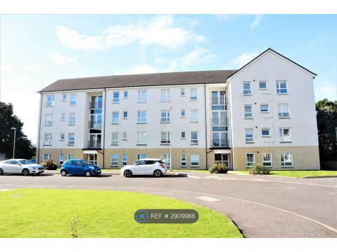 Springbank Gardens, Glasgow G31