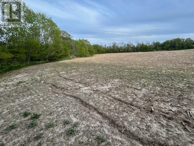 2299 BASELINE ROAD W