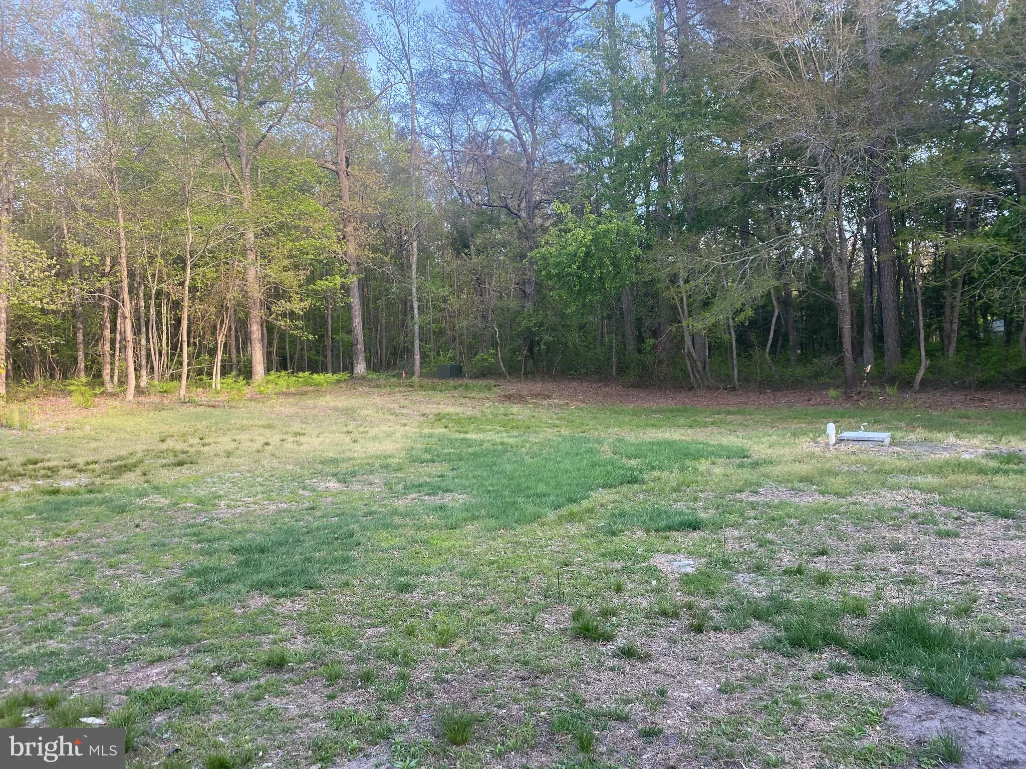 Additional image 41 of 20322 Thicket Road, Milton, DE 19968