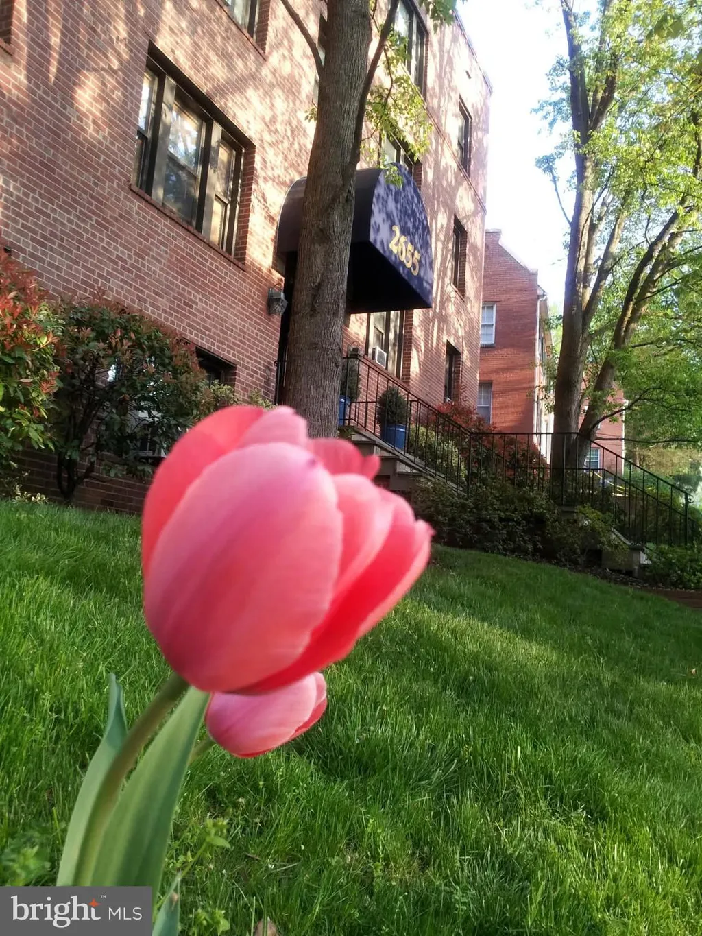 2655 41st Street NW Unit 202, Washington, DC 20007