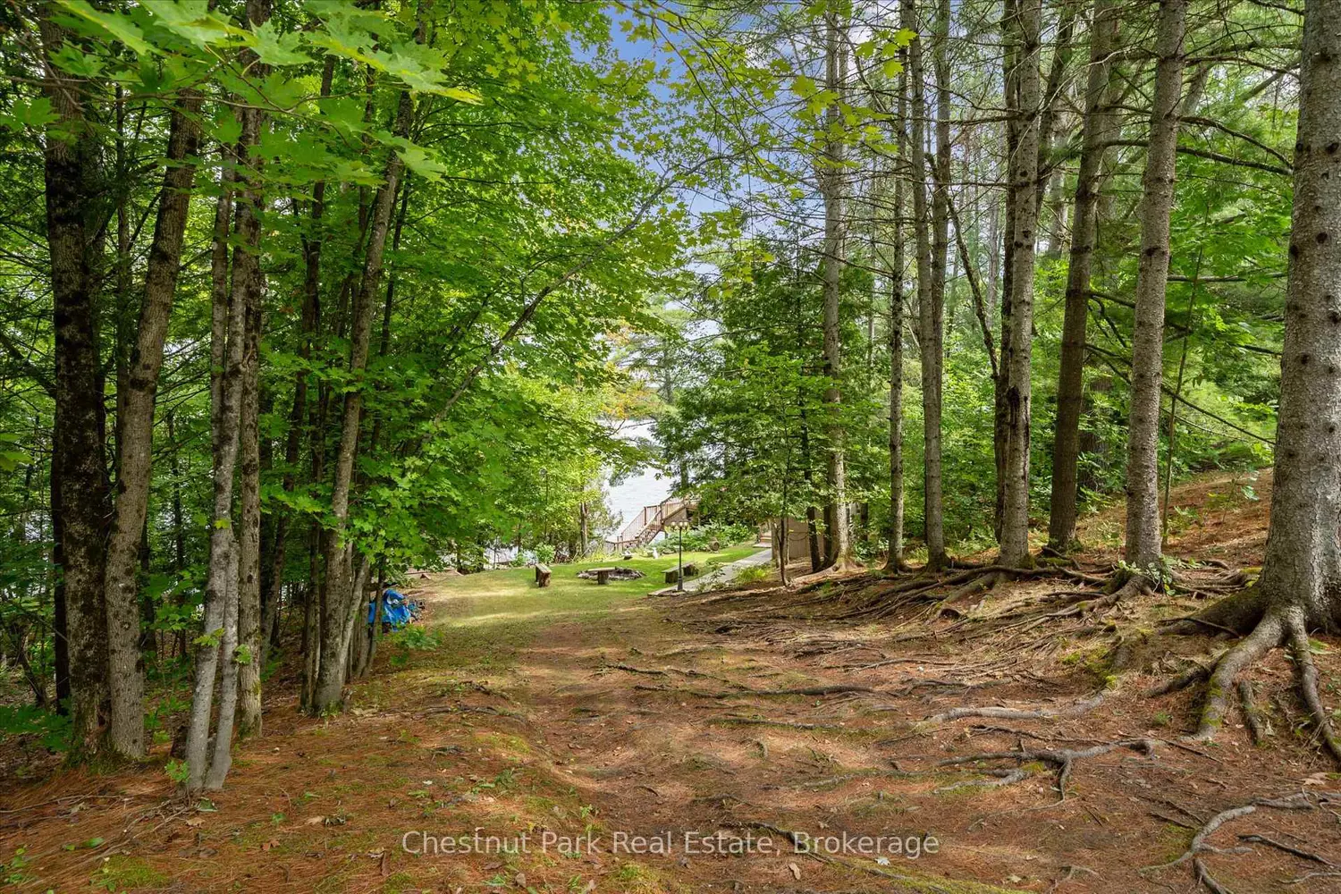 Additional image 15 of 1492 #3 North Shore Road