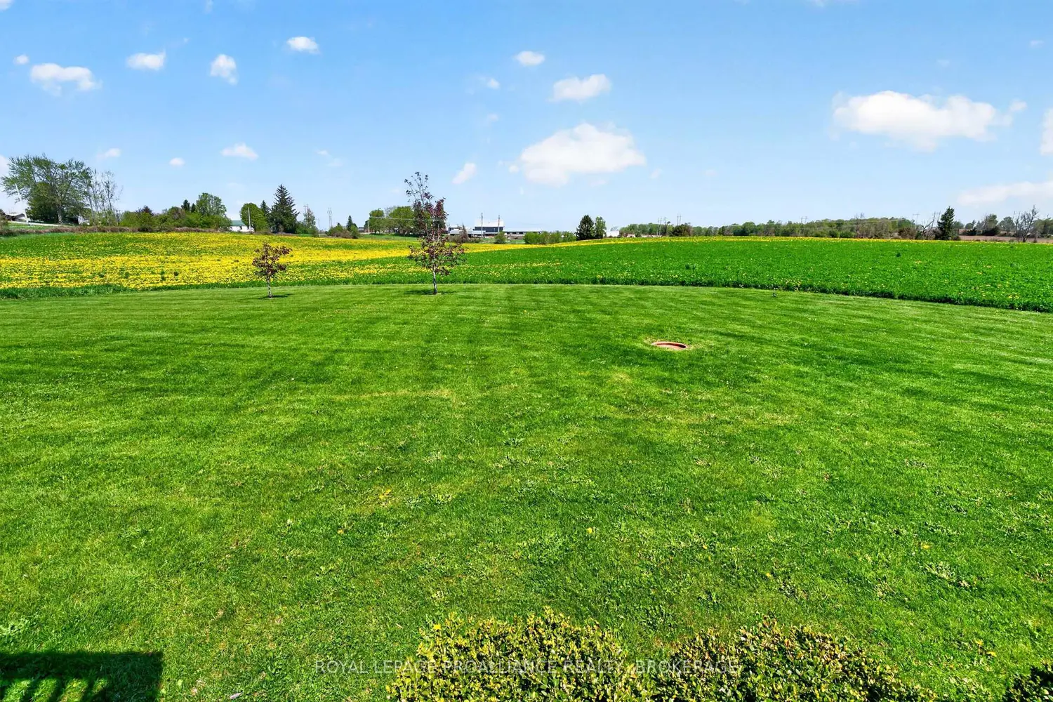Additional image 19 of 15268 County Road 21