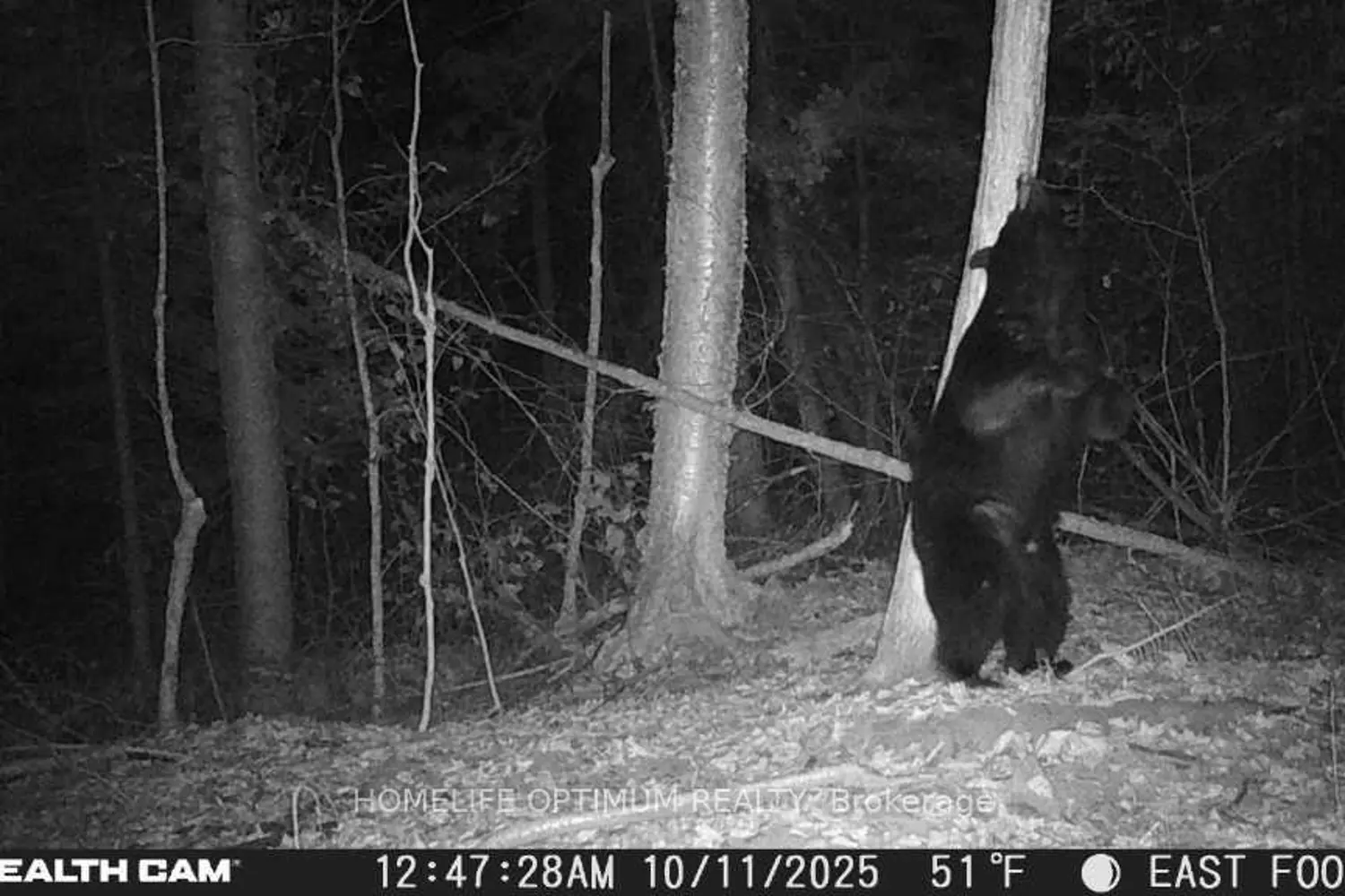 Additional image 8 of 1086 Crystal Lake Road