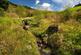 Additional image 35 of Trossachs, Callander, Stirlingshire, FK17