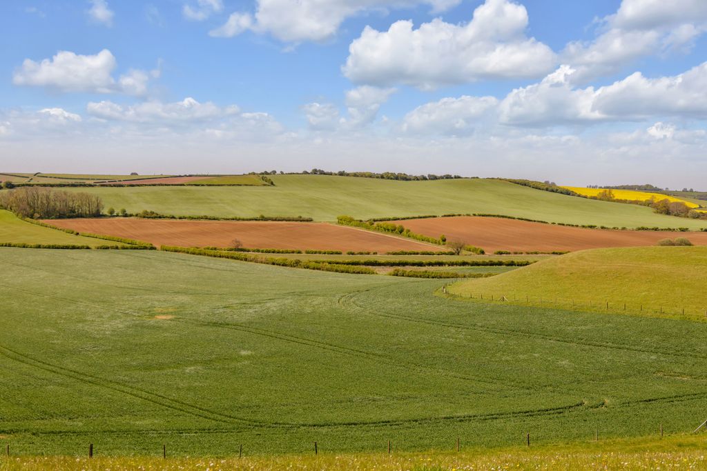 Additional image 24 of Land for saleGlebe Farm | Whole, Oxcombe Road, Belchford, Horncastle LN9