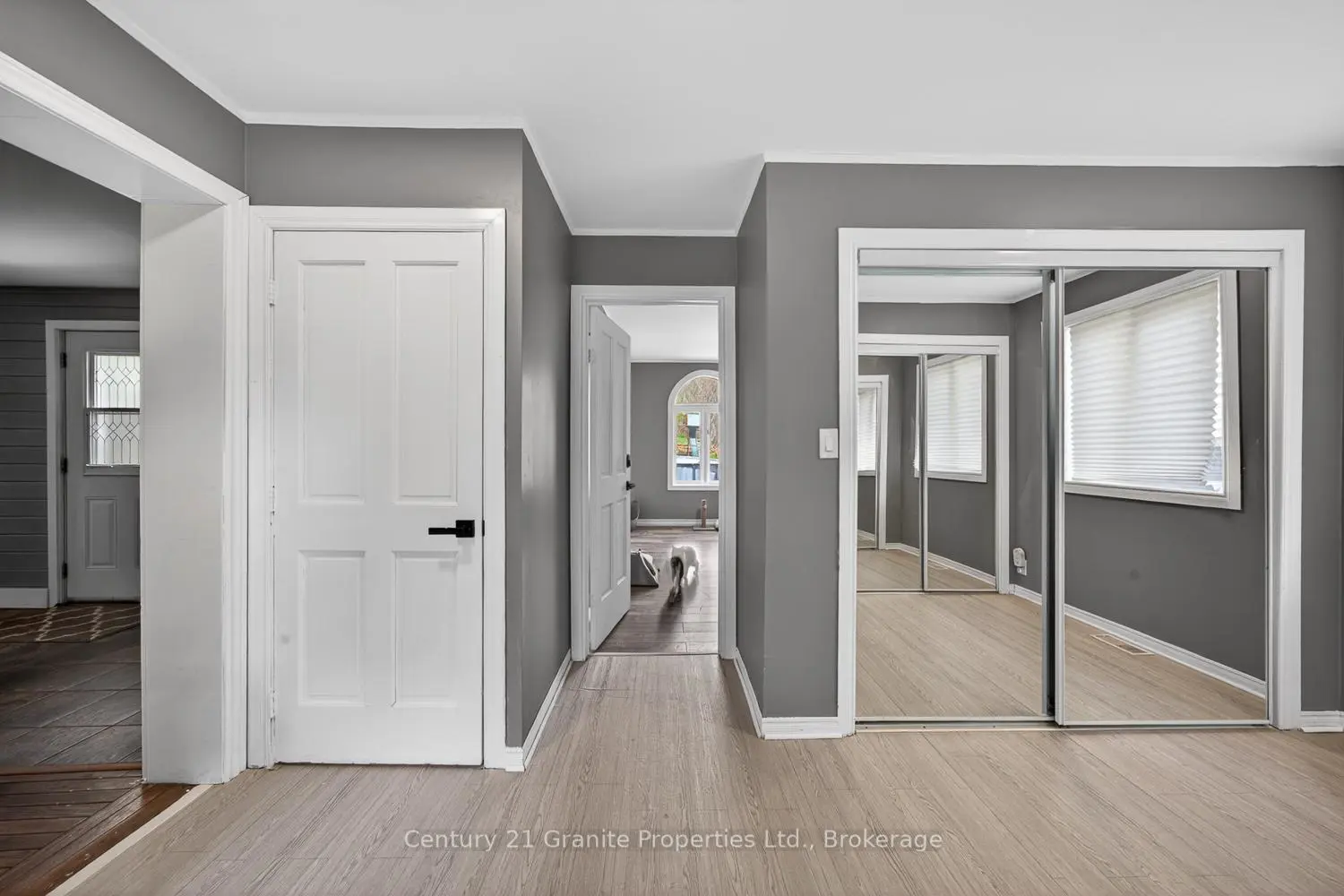 Additional image 9 of 50 William Street