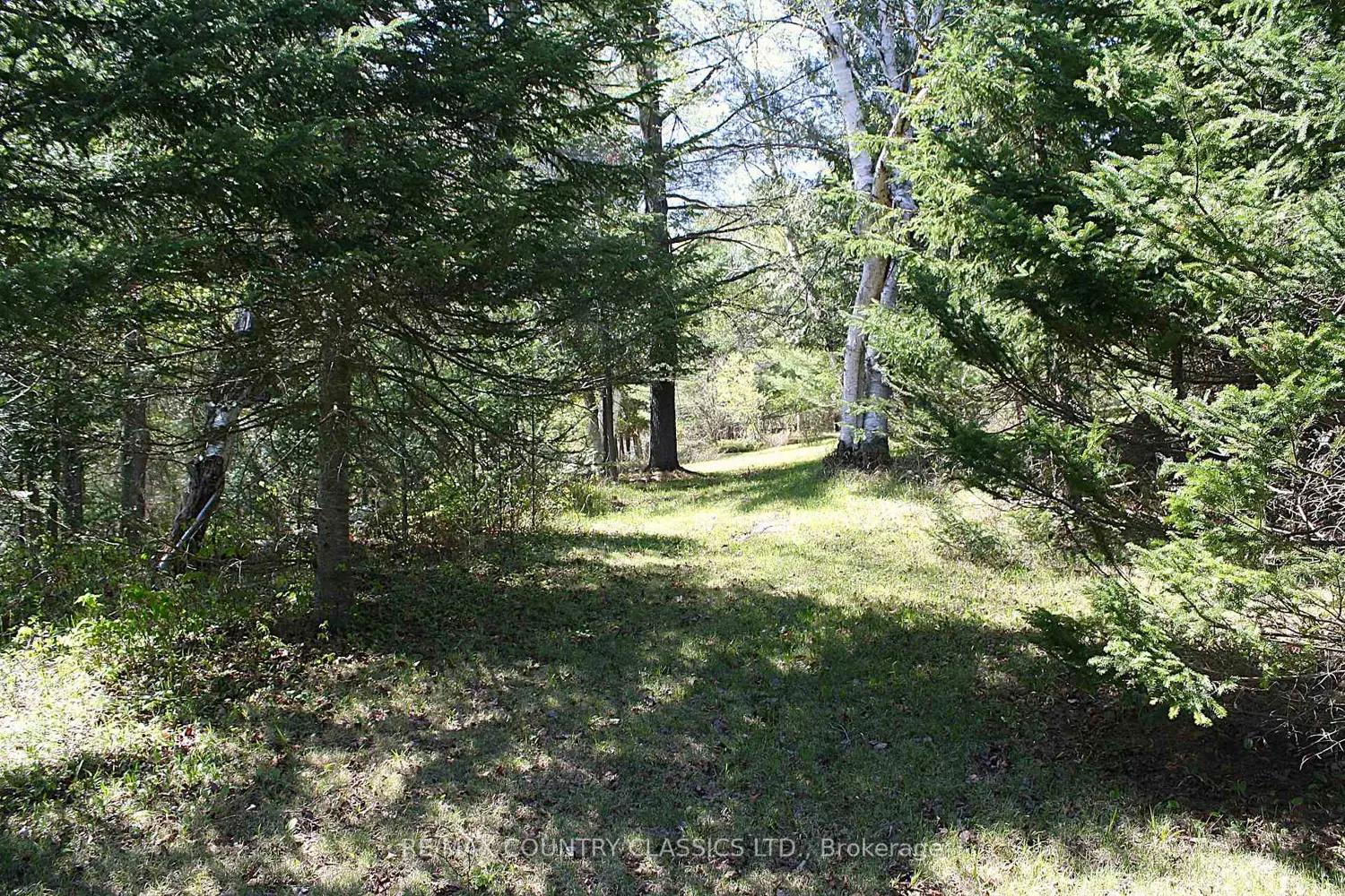 Additional image 7 of 1060 Little Ireland Road