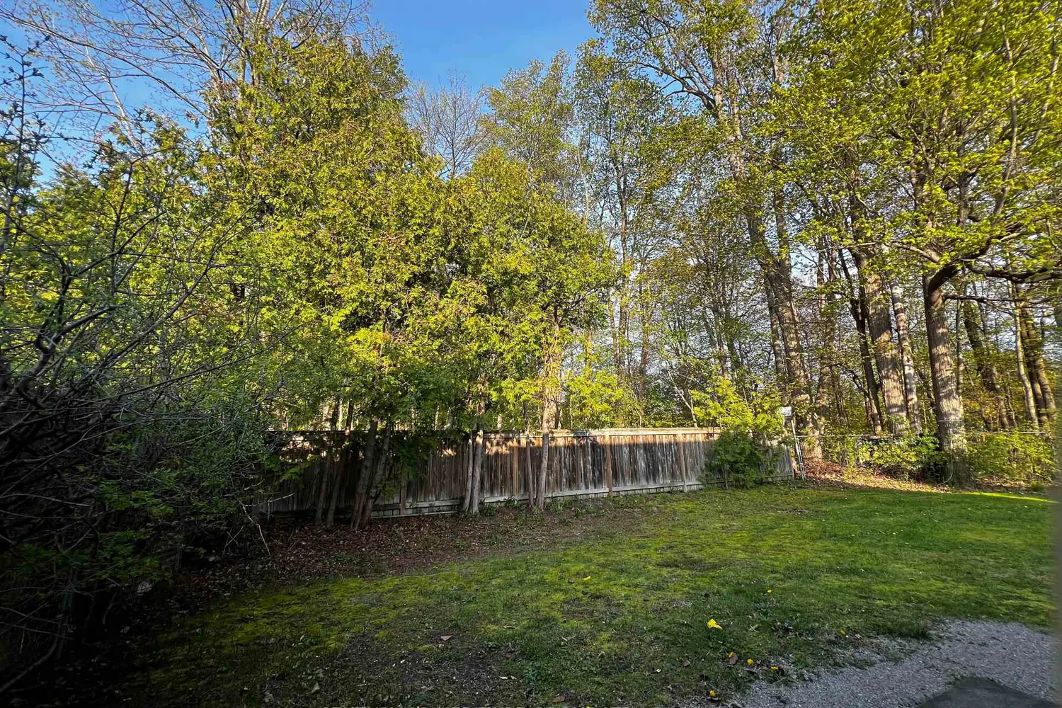 Additional image 11 of 1133 Trowbridge Court