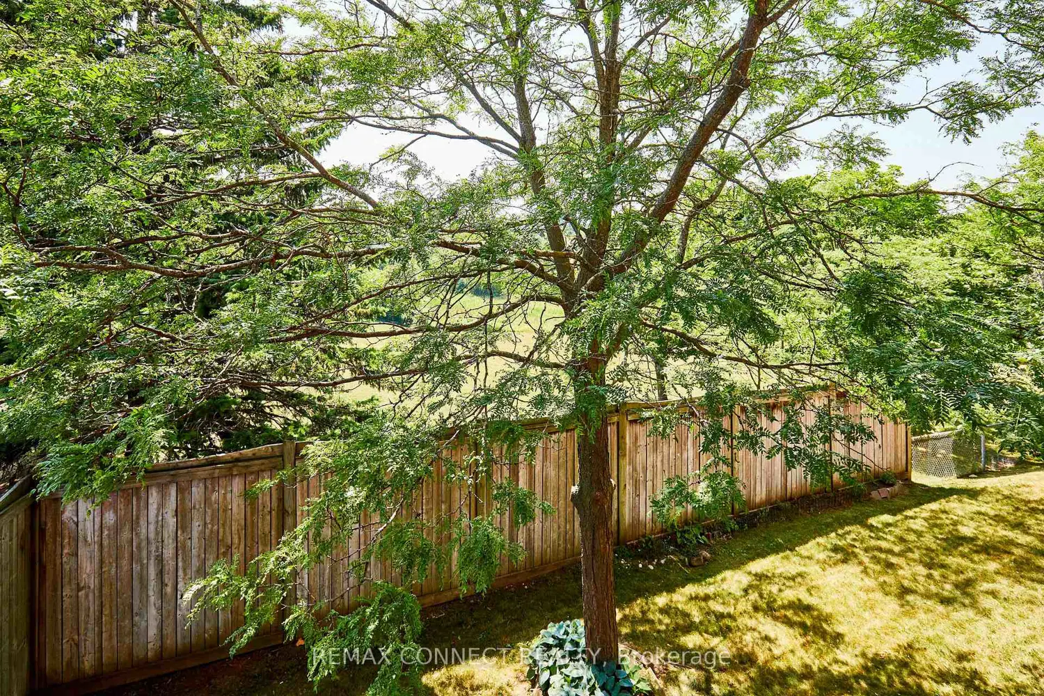 Additional image 9 of 575 Steeple Hill 31
