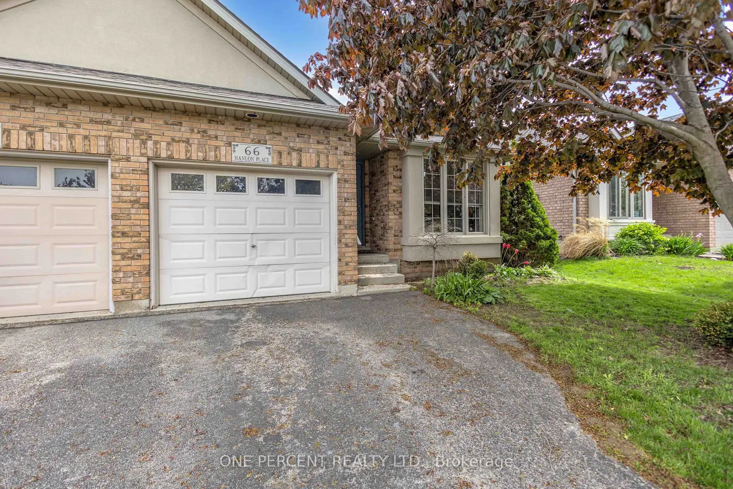 66 Hanlon Place photo 2