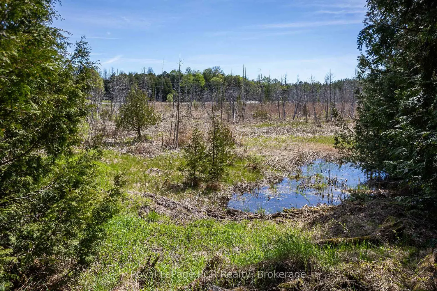 Additional image 18 of 776318 Highway 10