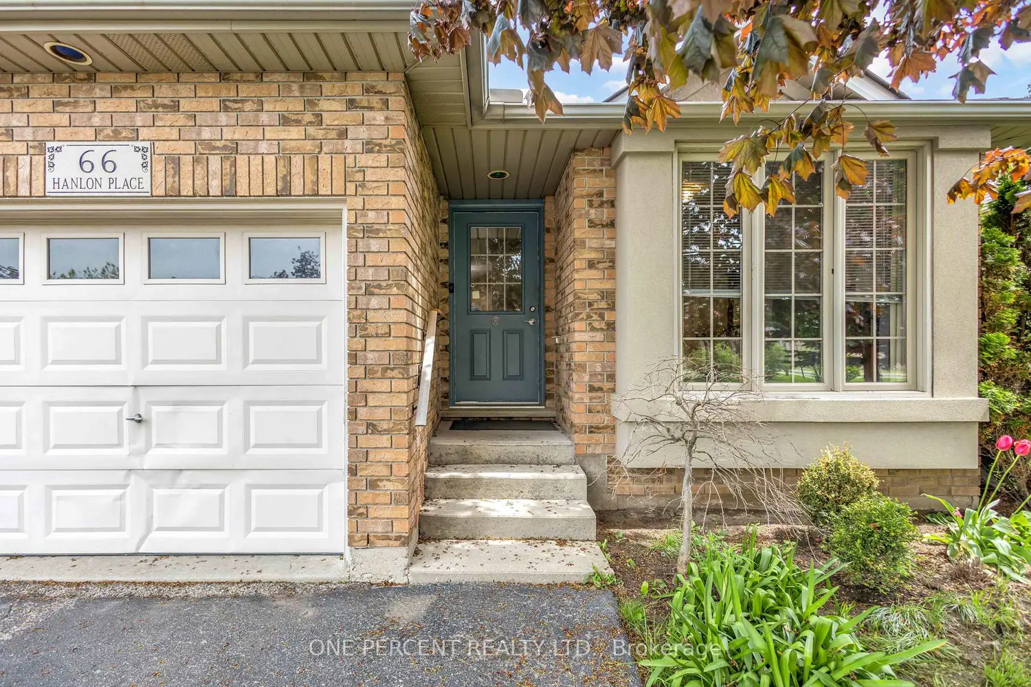 66 Hanlon Place photo 3
