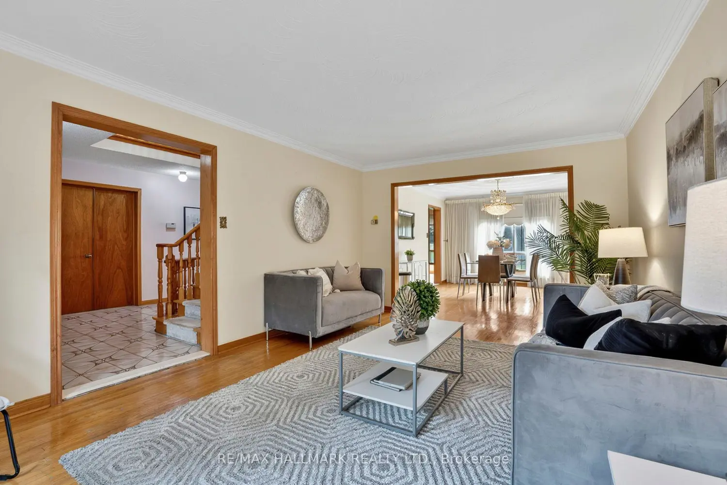 11 Greenvale Terrace photo 4