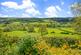 Additional image 4 of Newcastle, Craven Arms, SY7
