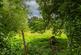 Additional image 32 of Mulgrave Way, Blackpill, Swansea