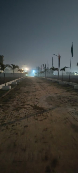 Additional image 3 of Tal Kandala, Gorakhpur