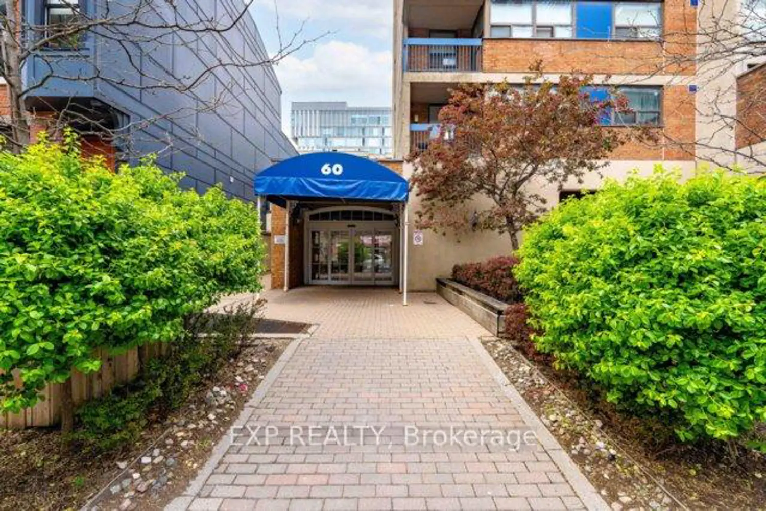 60 St Patrick Street 435 photo 2