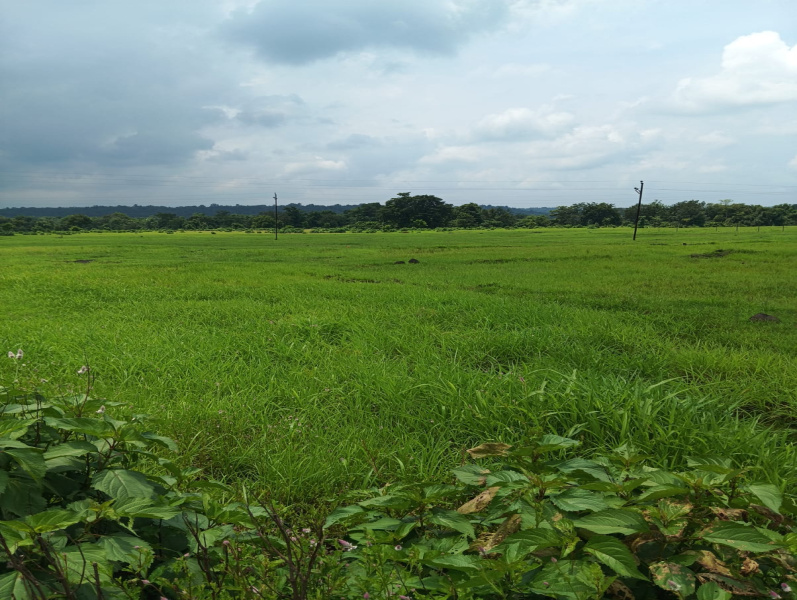 Additional image 3 of Saralgaon, Murbad, Thane