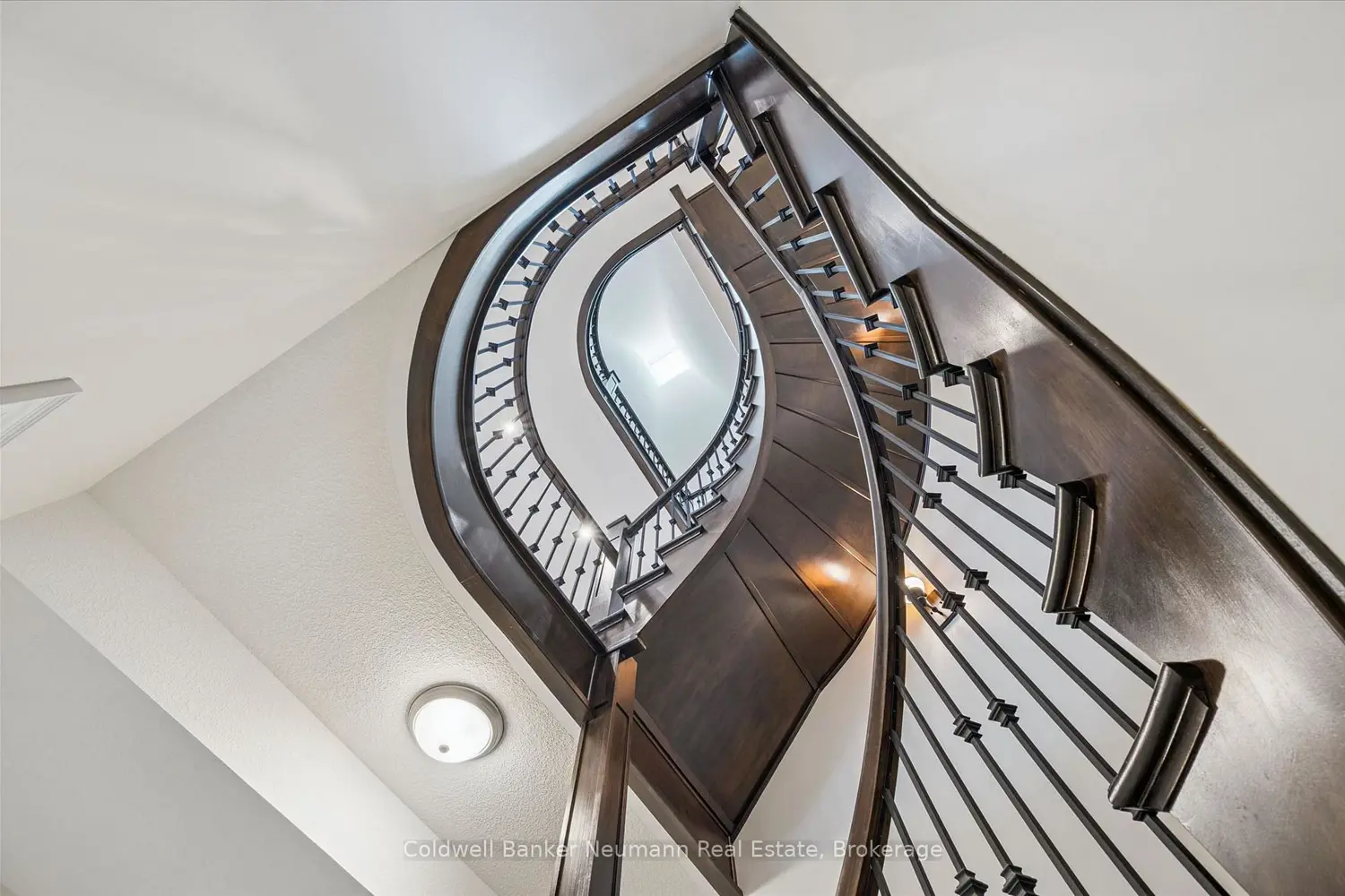 51 Cox Court photo 5