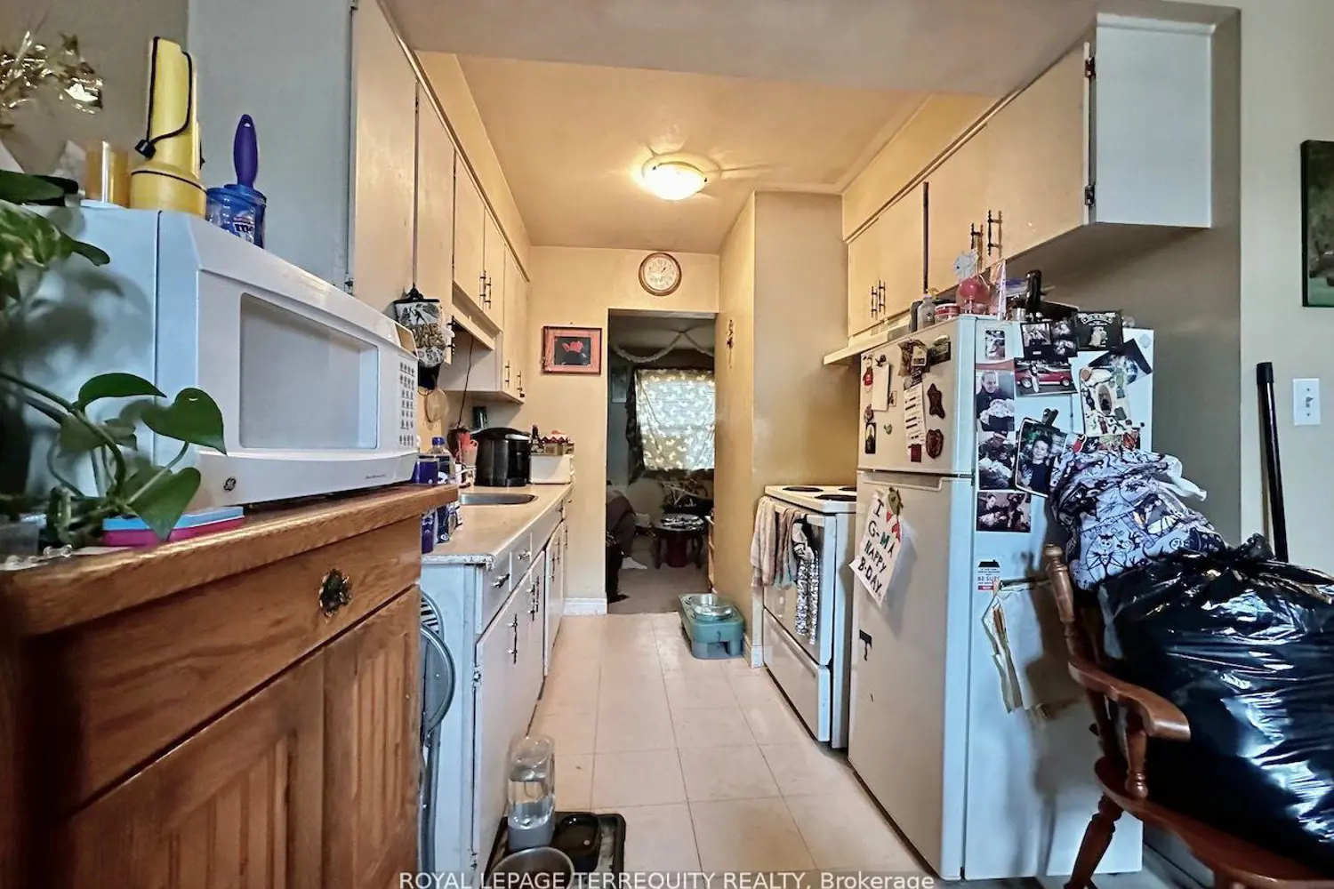39 Orchard Place photo 4