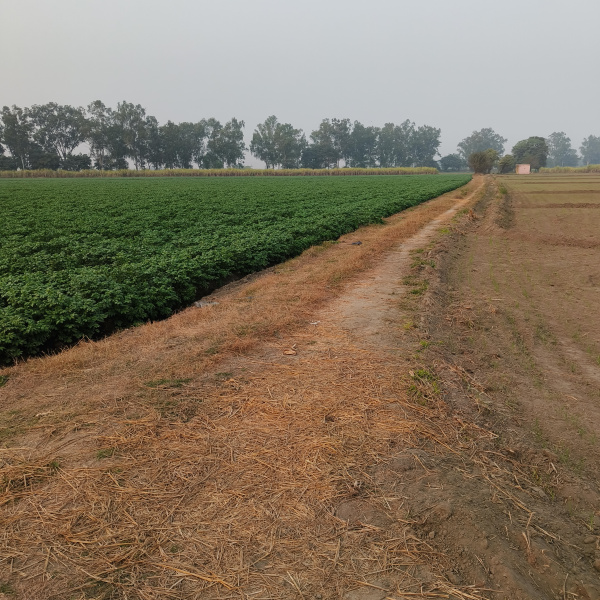 Additional image 3 of Doraha, Ludhiana