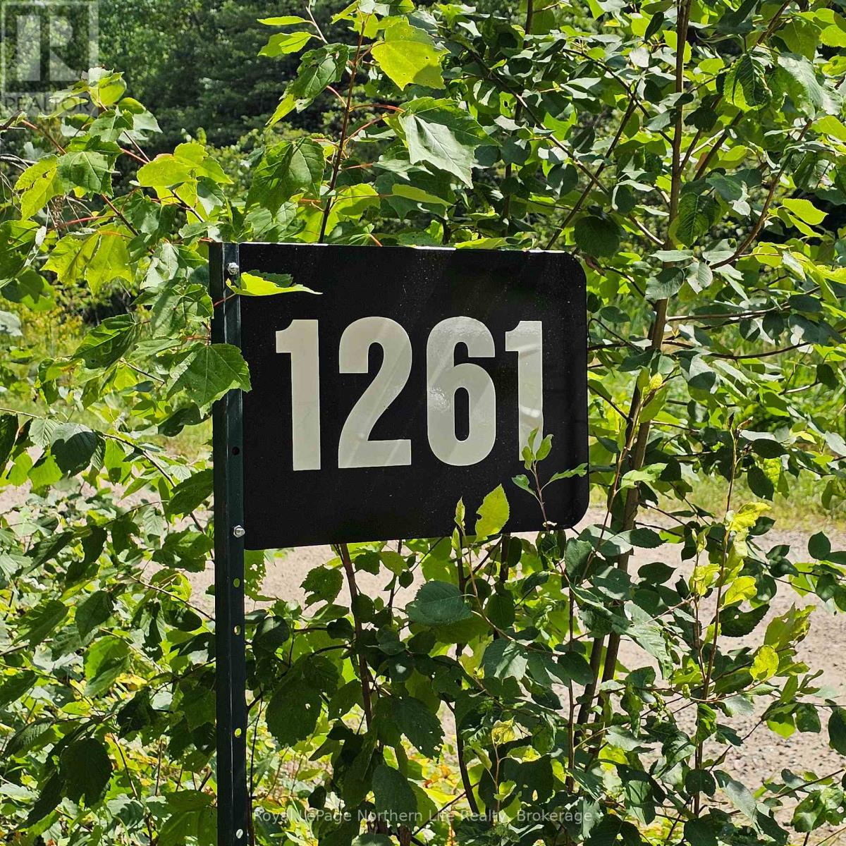 1261 SNAKE CREEK ROAD