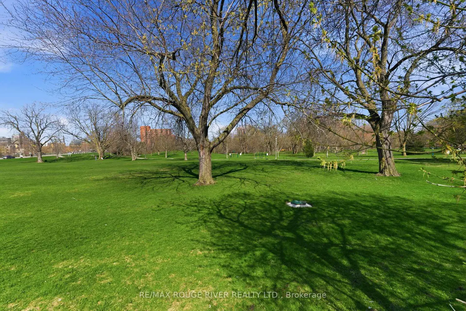 Additional image 20 of 163 Nassau Street