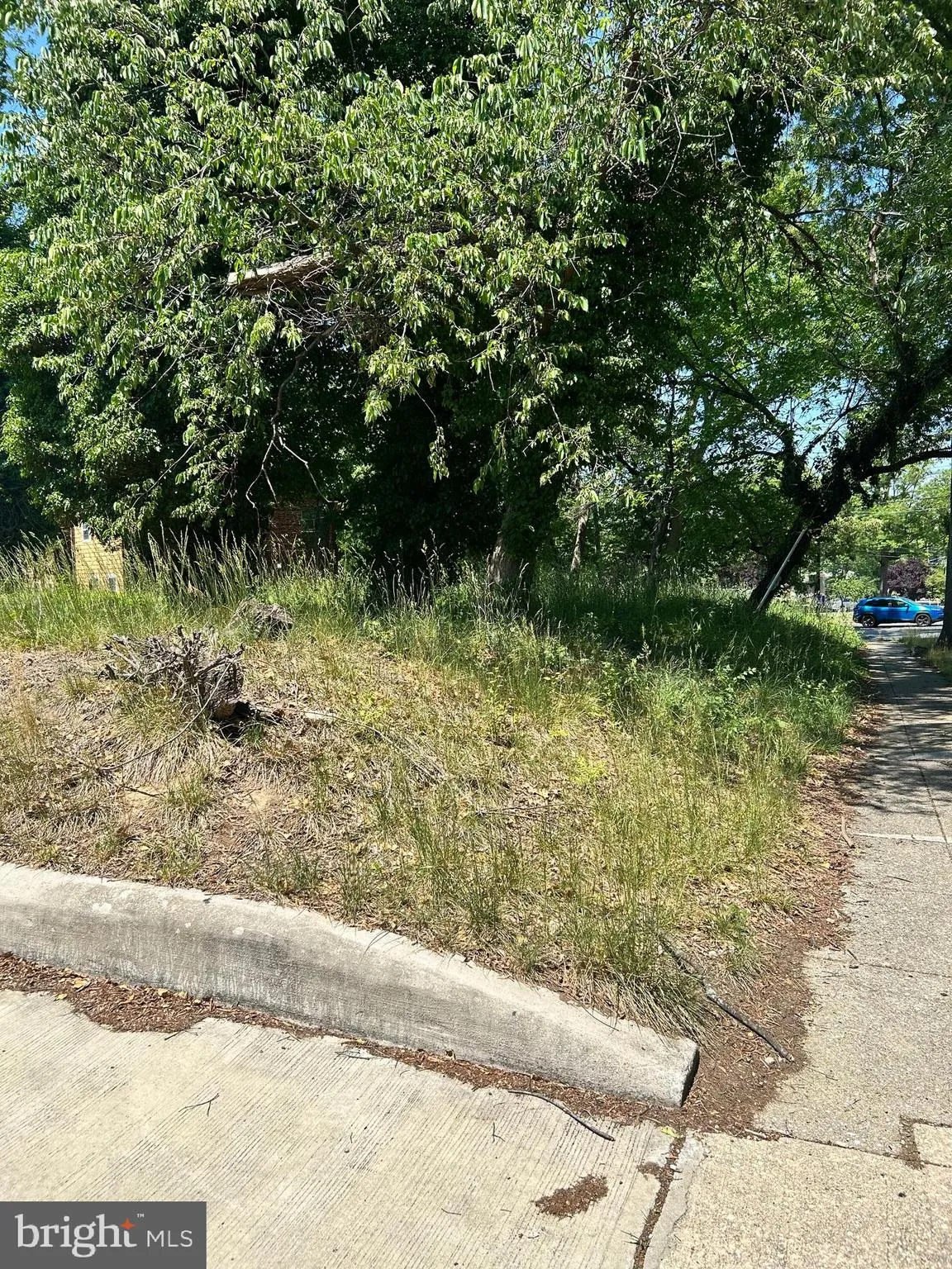 Additional image 13 of Randle Circle SE, Washington, DC 20019