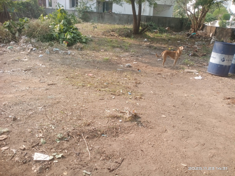 Additional image 3 of Akota, Vadodara